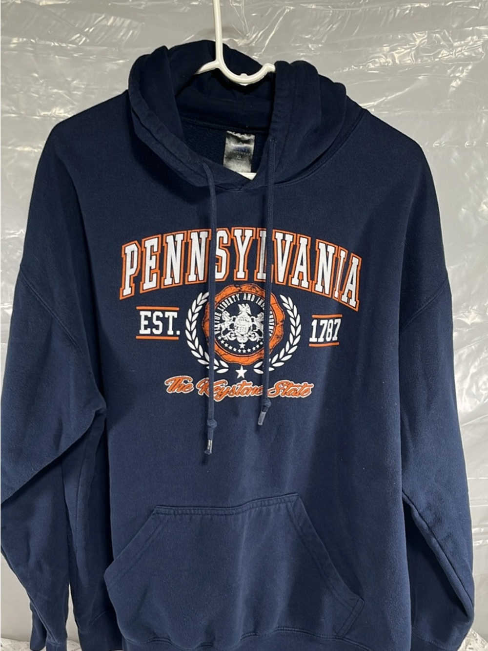 Navy Pennsylvania Graphic Hooded Sweatshirt